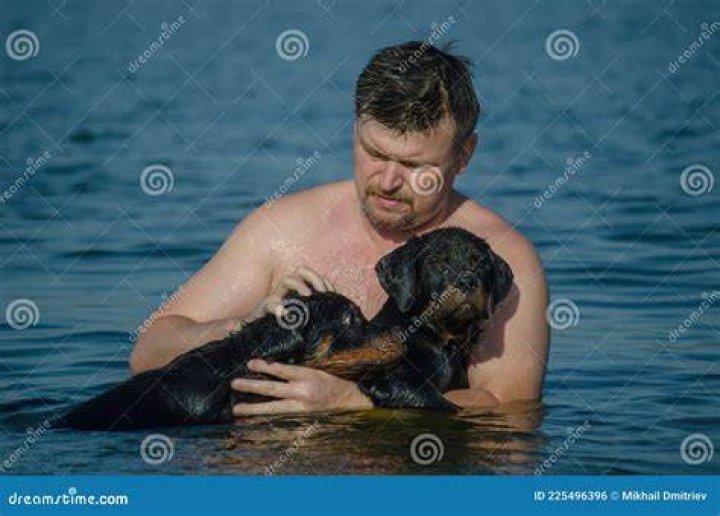 man with rottweiler puppies swimming