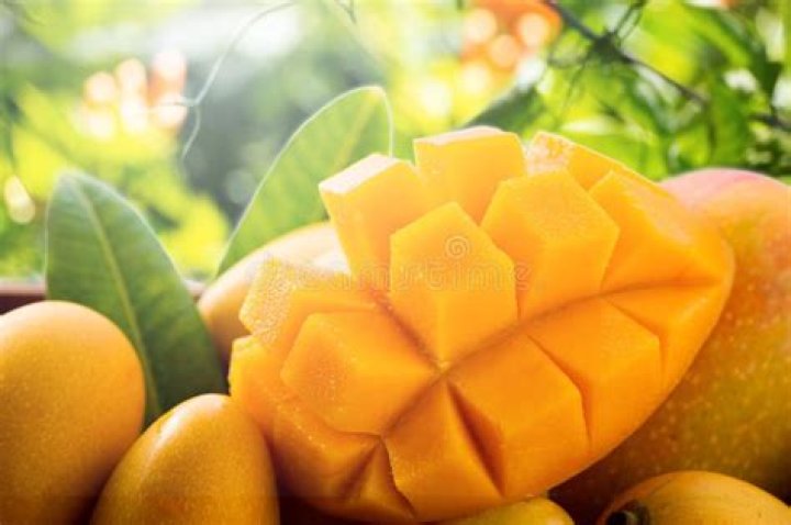 Mango
