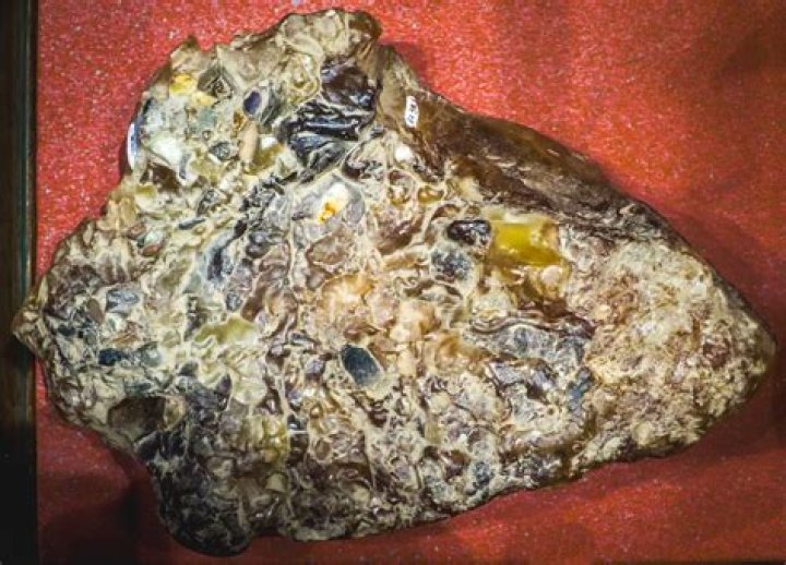 Marine Gold: Ambergris - a valuable pumice-like substance is not much to look at. Photo / File