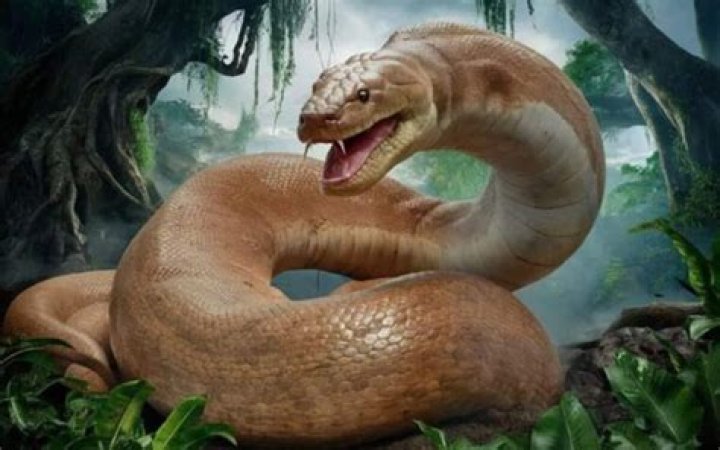Massive snake