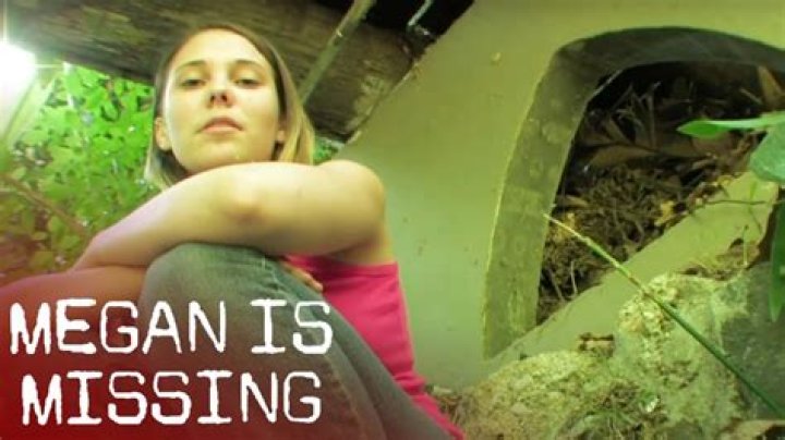Megan is Missing Is the Movie Inspired by a True Story? Is the Footage