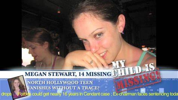 Megan Is Missing