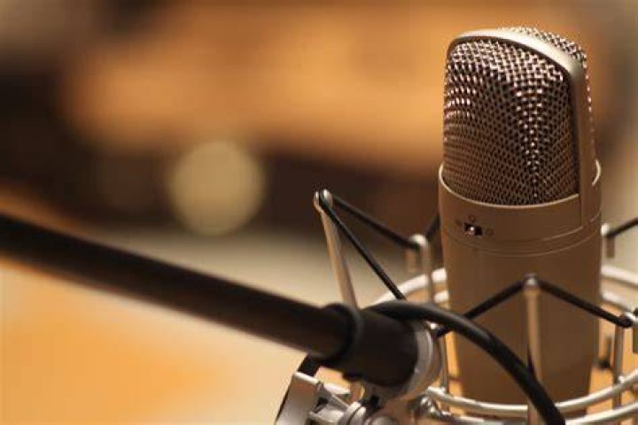 Microphone, Audio equipment, Music artist, Monochrome, Artist, Singing, Singer, Black-and-white, Concert, Performance art, 