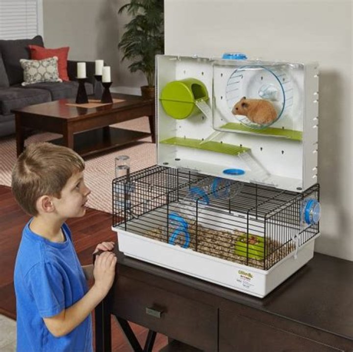 Midwest Critterville Arcade Hamster Cage