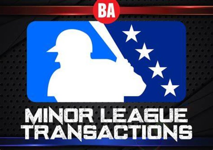 Minor League Transactions: July 10-24, 2022 — College Baseball, MLB Draft, Prospects