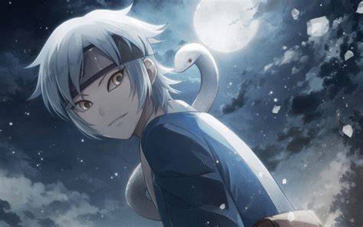 Mitsuki's Sage Mode