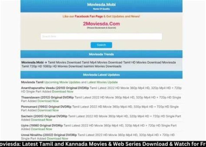 Mkvmoviespoint 2024 Latest Movies Bollywood, Hollywood, Tamil