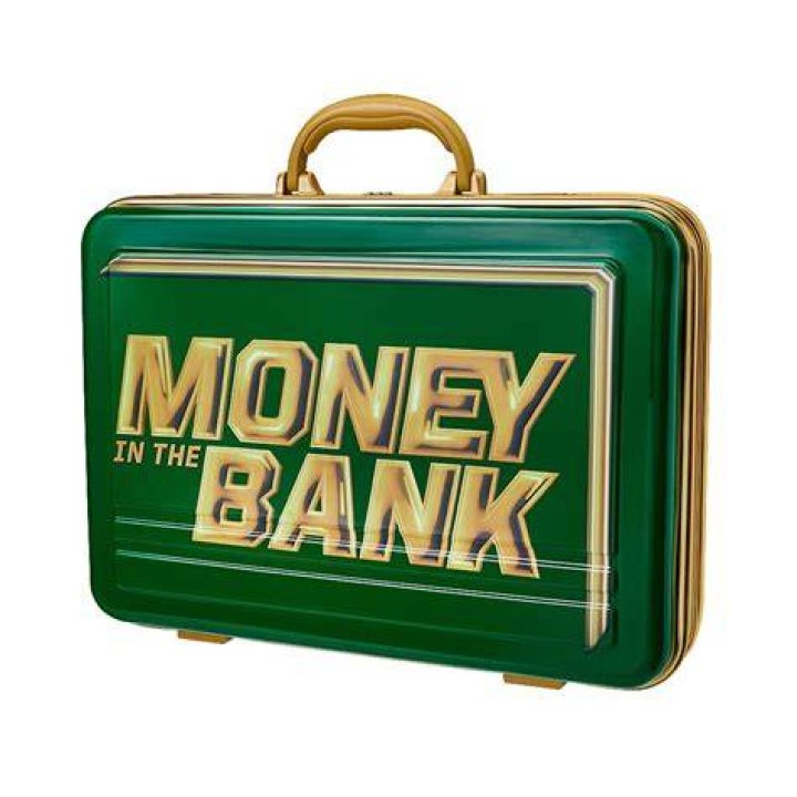 Money In The Bank briefcase