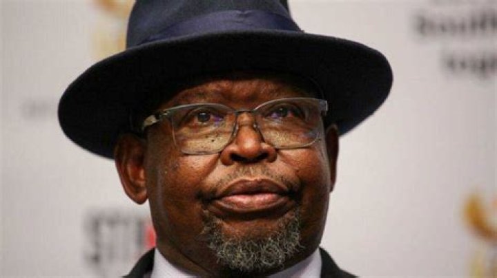 MTBPS 2023: Enoch Godongwana Says R34 Billion To Be Added to R350 Grant, South Africa Displeased