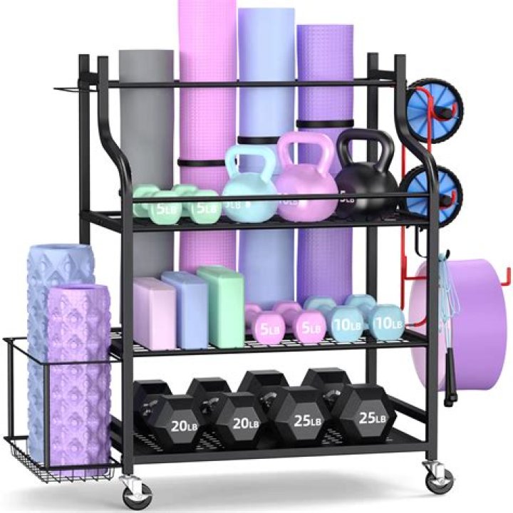 mythinglogic gym storage rack 