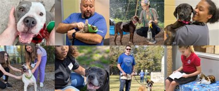 Nassau County Animal Services working to nokill shelter