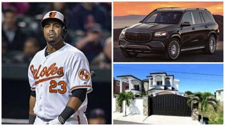 Nelson Cruz Net Worth