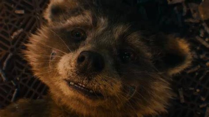 New Guardians of the Galaxy Vol. 3 clip reveals Rocket's heartbreaking origin. Watch: