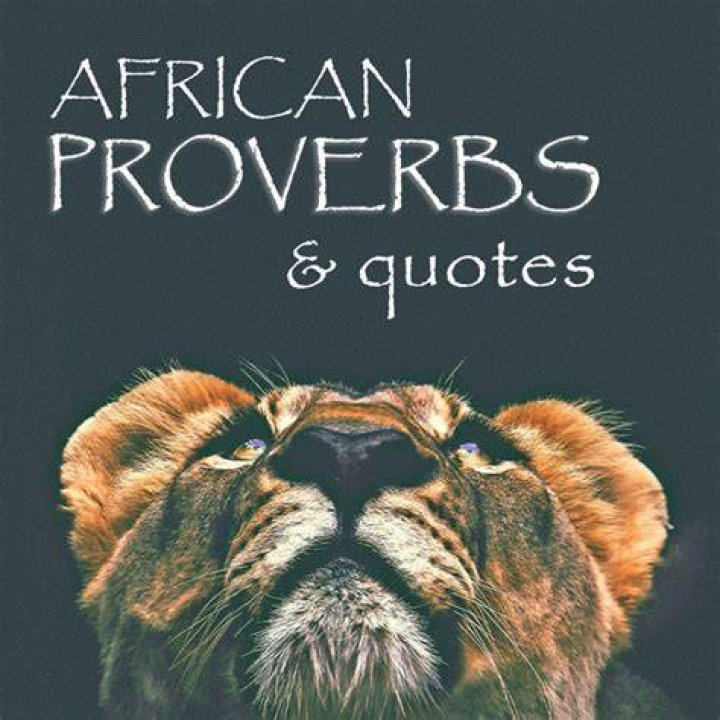 Nigerian Proverbs: Wisdom From The Heart Of Africa