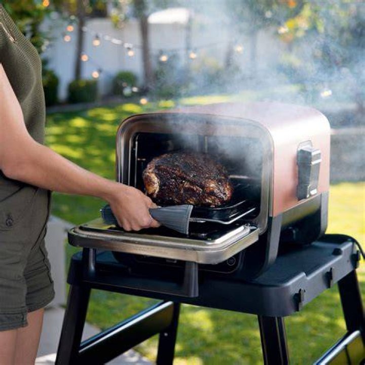 Ninja Woodfire Outdoor Oven Sheri Kaz Family Handyman Img 6144 Ksedit