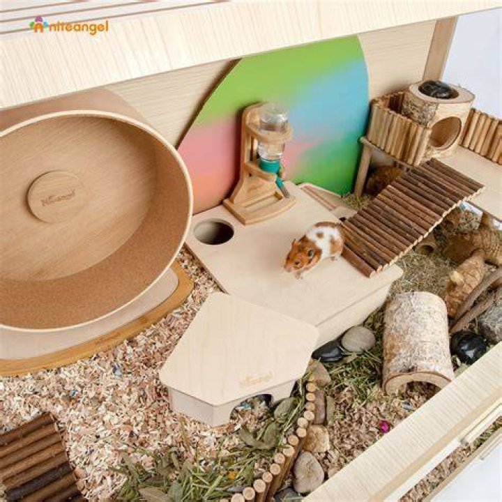 Niteangel Small Animal Trio of Fun Balls Activity Toy