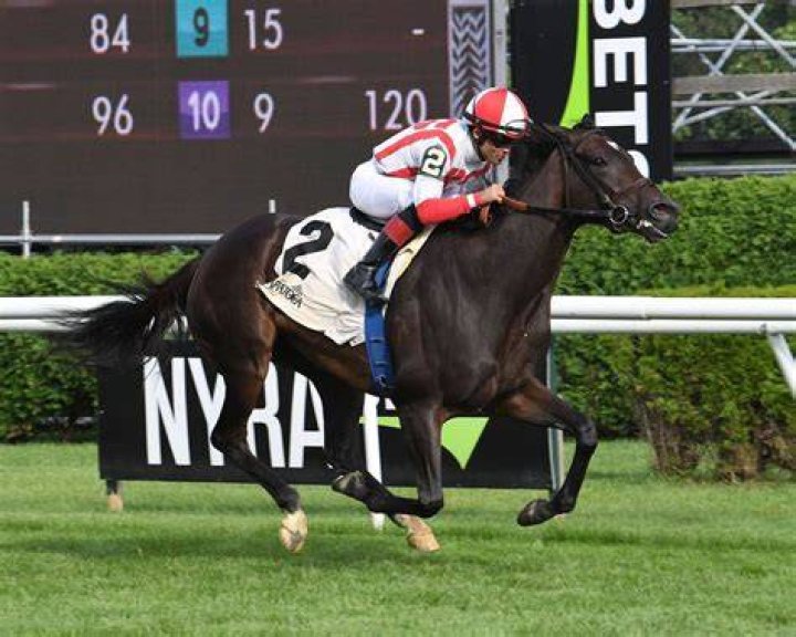 “No Feel for This”: Equestrian Trainer Worth $260,953,134 Makes Candid
Confession on Thoroughbred’s Debut Stakes Victory
