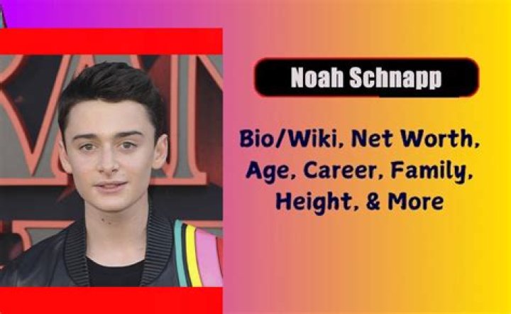 Noah Zulfikar&rsquo;s biography age, parents, who is he dating? Legit.ng