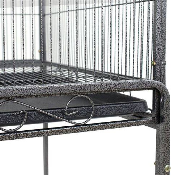 Nova Microdermabrasion Large Bird Cage &ndash; Best Value
