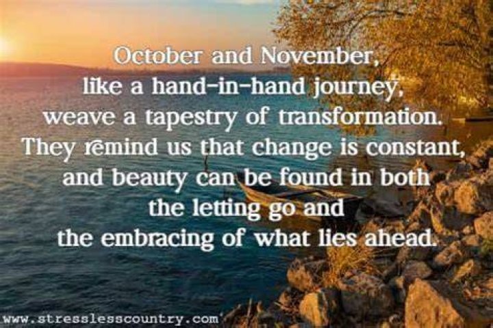 November Quotes: Embracing Change And Reflection