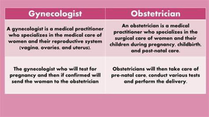 Obstetrician vs Gynecologist What Is the Difference? Women's