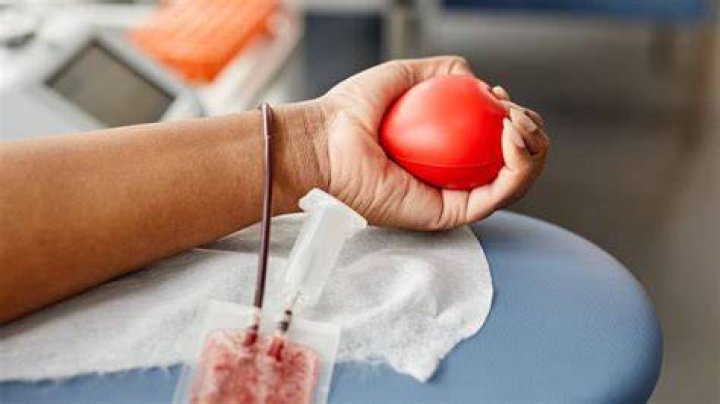 One-in-a-billion risk of mad cow disease spreading through NZ blood donation