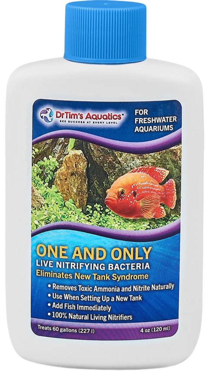 One Stop Aquatics Live Freshwater Ramshorn Snails