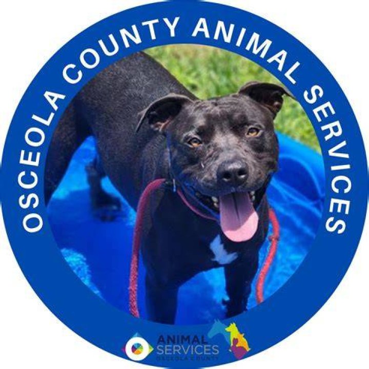 OSCEOLA COUNTY ANIMAL SERVICES 12 Photos Animal Shelters 3910 Old