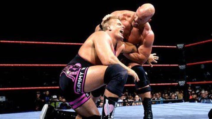 Owen Hart vs Steve Austin