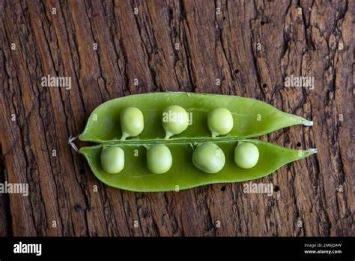 pea in the pod