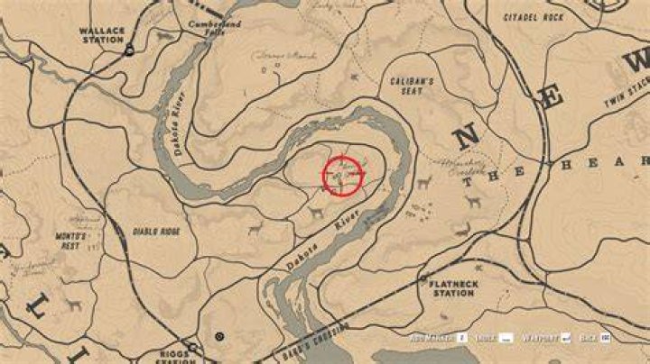 Pearsons shop in Red Dead Redemption 2