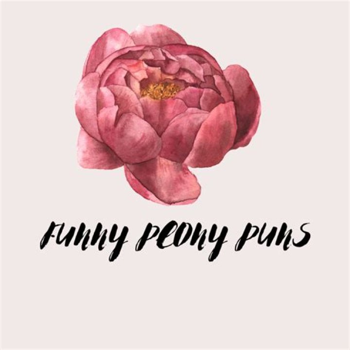 Peony Puns Blooming With Over 100 Ridiculously Petalicious Jokes!