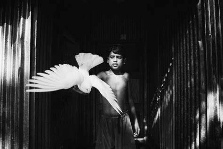 Performance, Black, Entertainment, Black-and-white, Performing arts, Monochrome photography, Singing, Music artist, Music, Monochrome, 