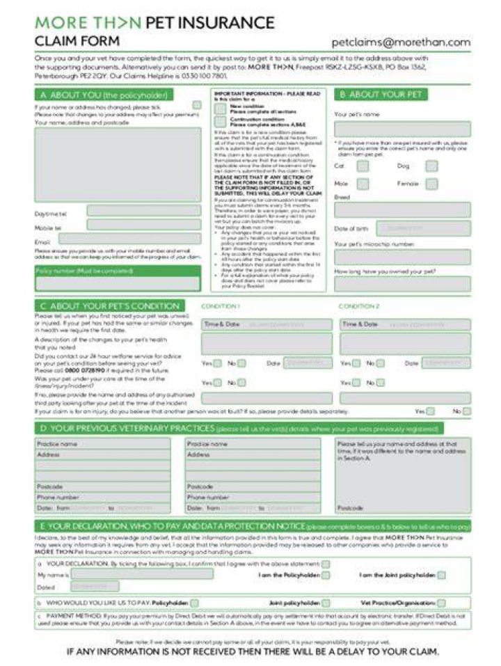 Pet insurance form close up