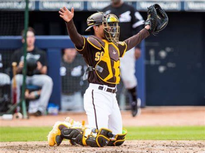 Peyton Williams Stats & Scouting Report — College Baseball, MLB Draft, Prospects
