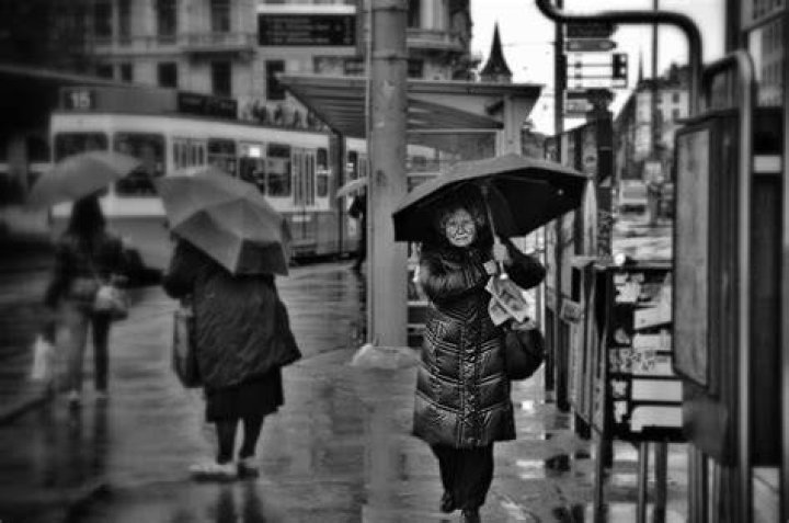 Photograph, White, Black, Black-and-white, Snapshot, Monochrome, Photography, Monochrome photography, Style, Photograph, White, Black, Black-and-white, Snapshot, Monochrome, Photography, Monochrome photography, Style,