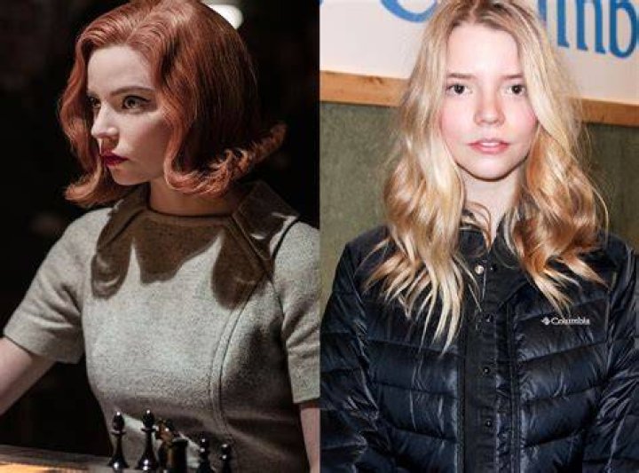 Photos from Where We've Seen The Queen's Gambit Cast Before