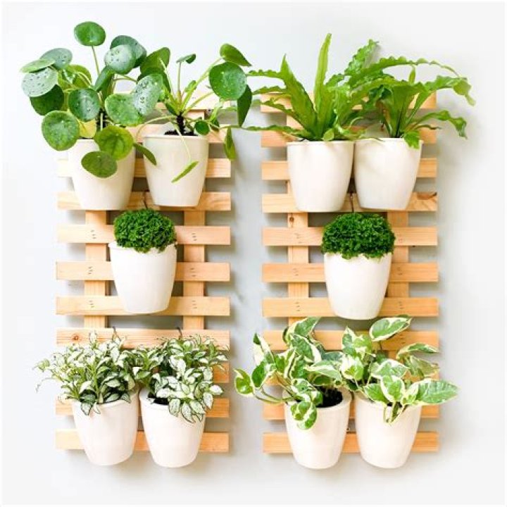 Plant Wall Planters