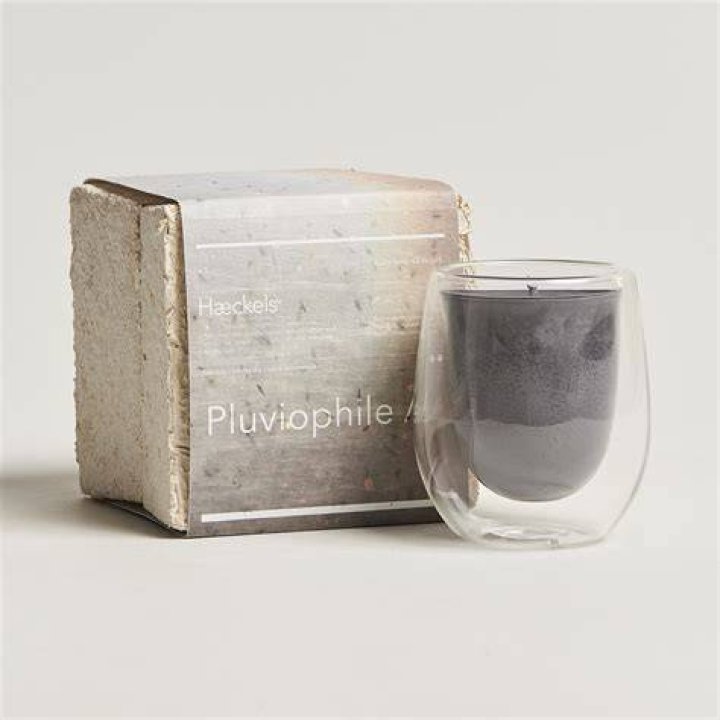 Pluviophile Candle