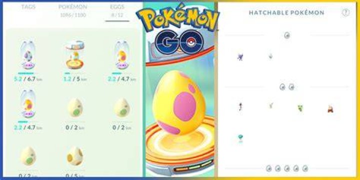 pokemon go eggs guide season of adventures abound egg rotation walking requirement