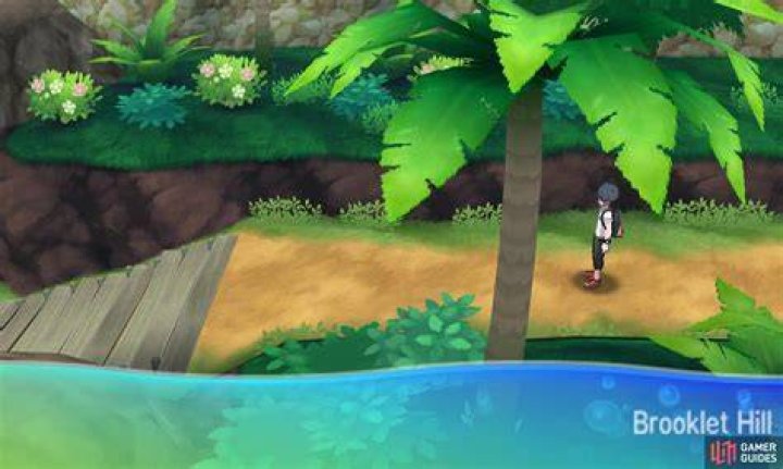 Pokemon Sun & Moon Walkthrough Part 8: Route 5, Brooklet Hill and Lana's water trial
