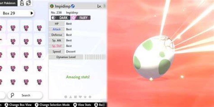 Pokemon Sword Shield Breeding Egg Hatch