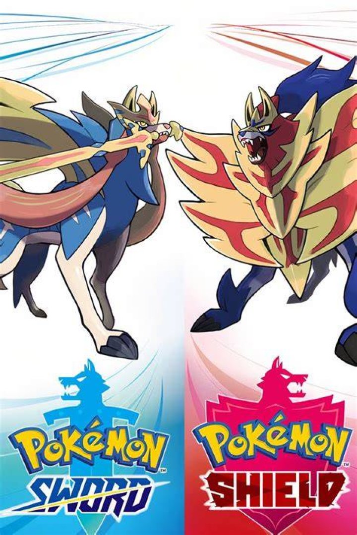 Pokemon Sword Shield Treat Shop