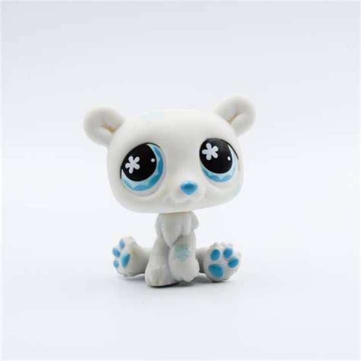 Polar Bear&rsquo;s Pet Shop 9+ Live Ramshorn Snails