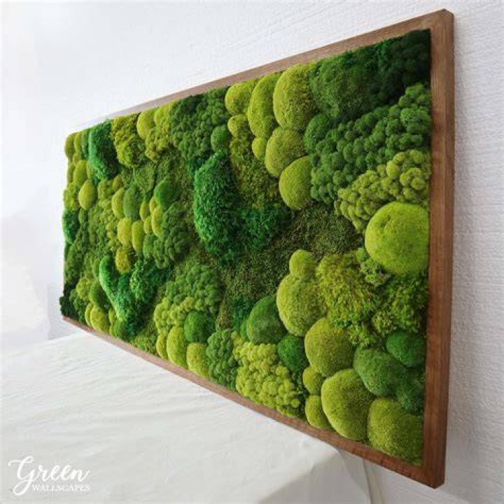 Preserved Moss Art