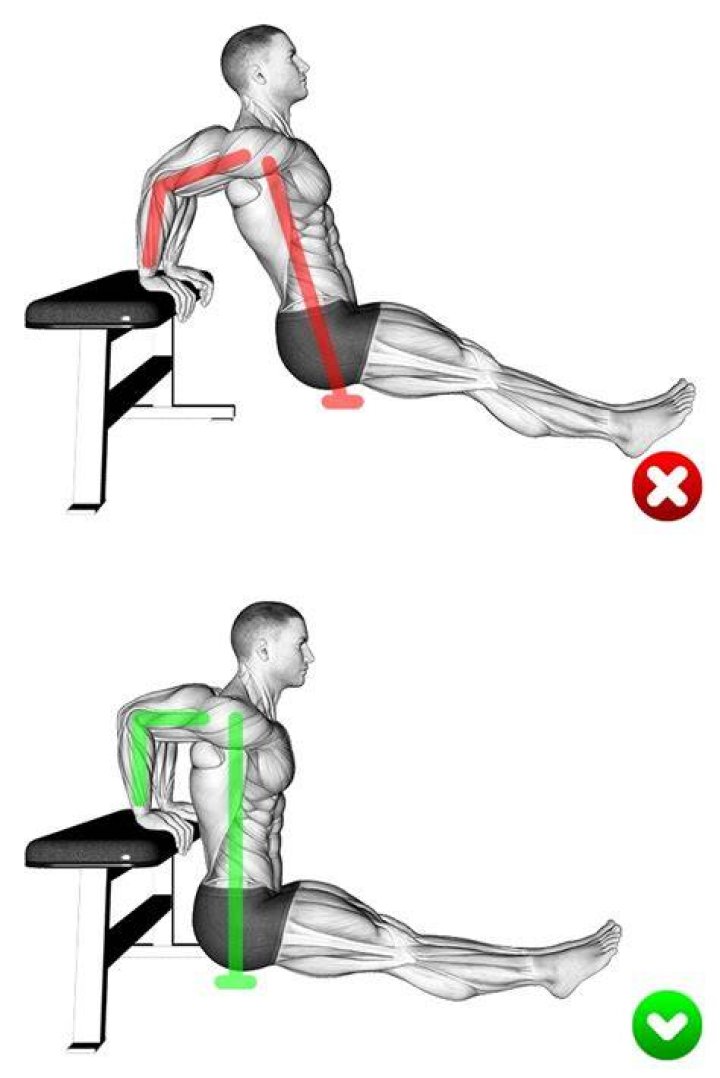 preview for Bench Dip | Form Check