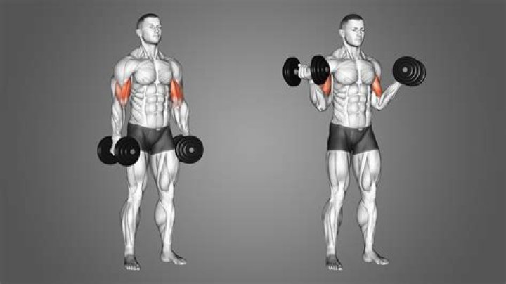 preview for bicep curl