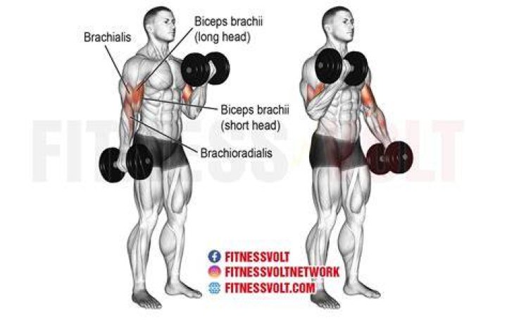preview for Biceps Curl | Form Check