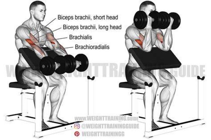 preview for Dumbbell Preacher Curl | Form Check