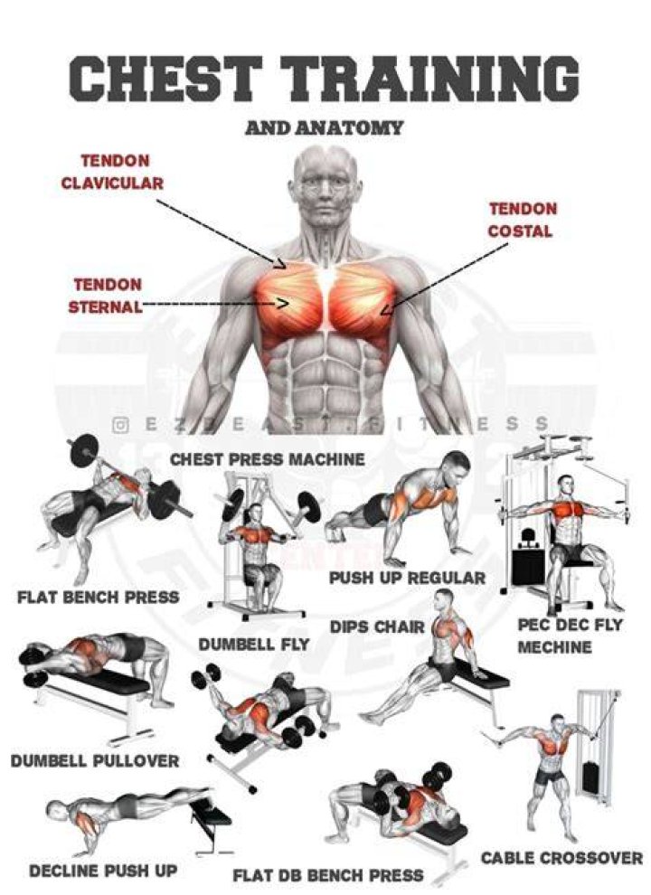 preview for Essential Chest Training Tips With A Celebrity Personal Trainer | Men&rsquo;s Health Muscle